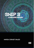 Snip3 report.pdf